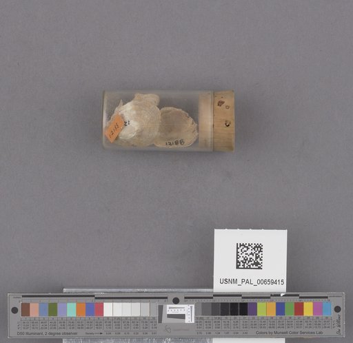 NSF ADBC EPICC TCN