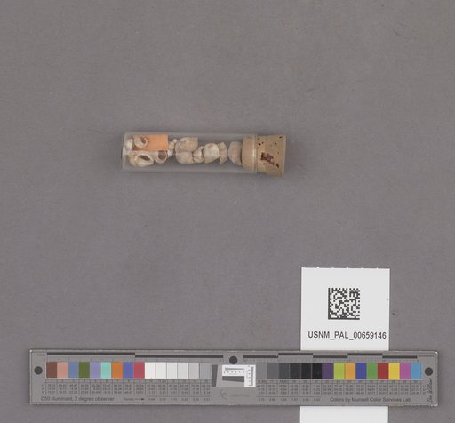 NSF ADBC EPICC TCN
