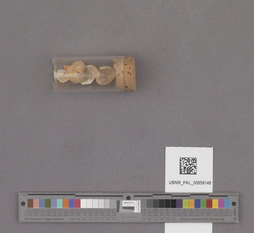 NSF ADBC EPICC TCN