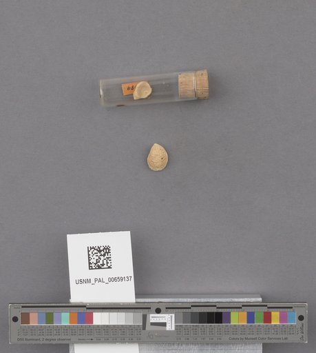 NSF ADBC EPICC TCN