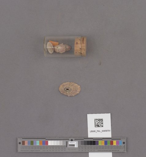 NSF ADBC EPICC TCN