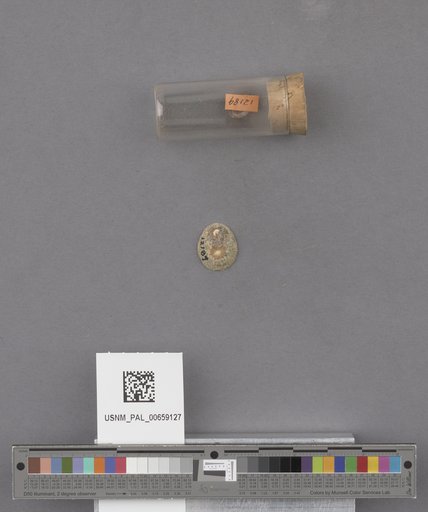 NSF ADBC EPICC TCN