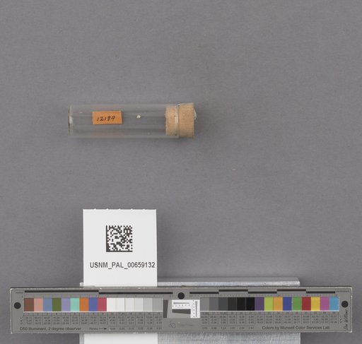 NSF ADBC EPICC TCN