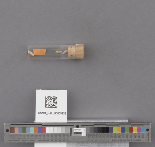 NSF ADBC EPICC TCN