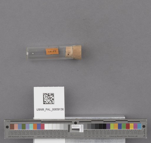 NSF ADBC EPICC TCN