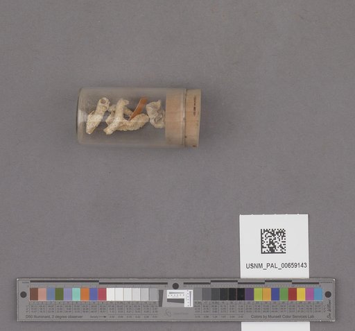 NSF ADBC EPICC TCN