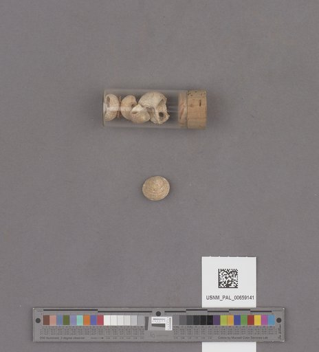 NSF ADBC EPICC TCN