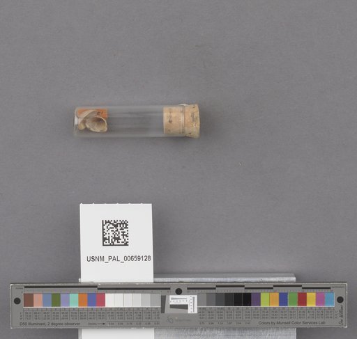 NSF ADBC EPICC TCN