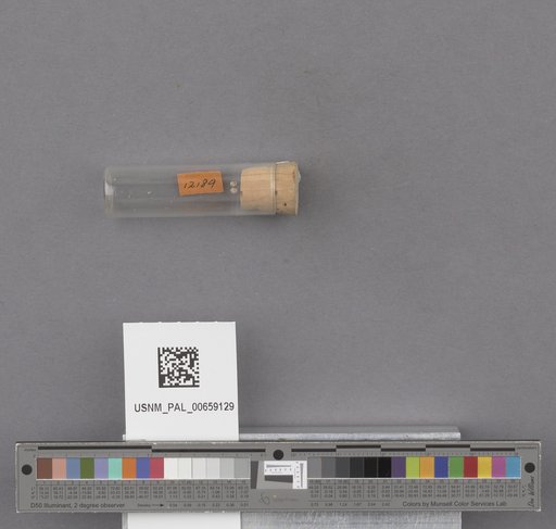 NSF ADBC EPICC TCN