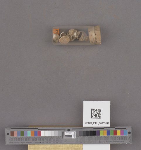 NSF ADBC EPICC TCN