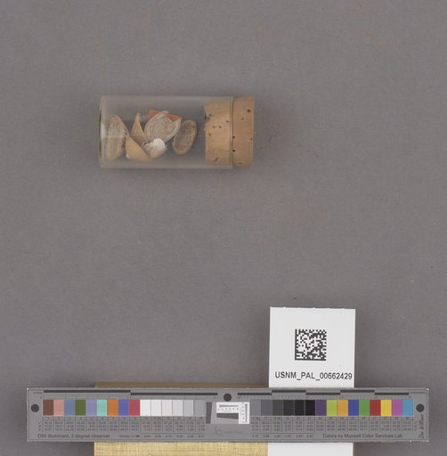NSF ADBC EPICC TCN