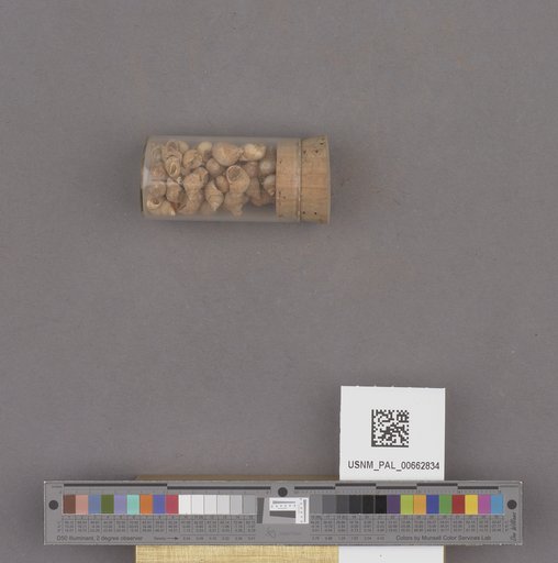 NSF ADBC EPICC TCN