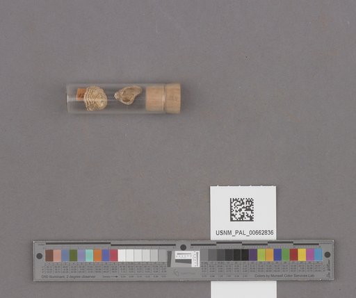 NSF ADBC EPICC TCN