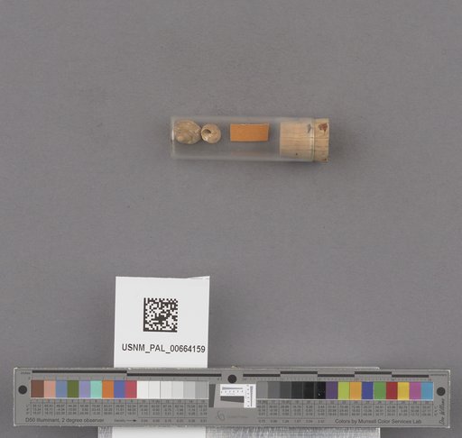 NSF ADBC EPICC TCN