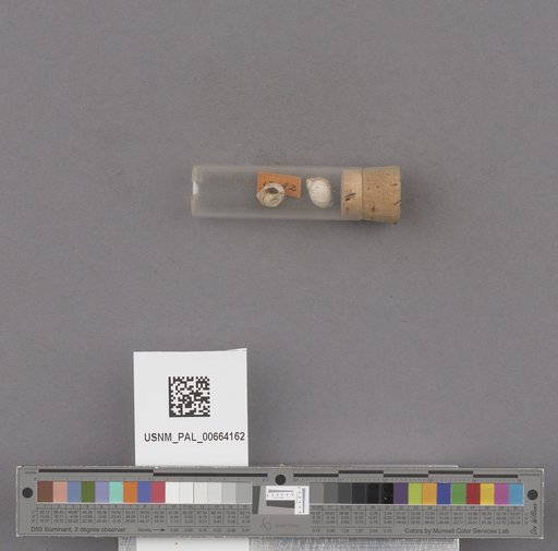 NSF ADBC EPICC TCN