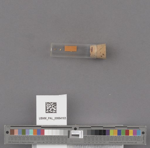NSF ADBC EPICC TCN
