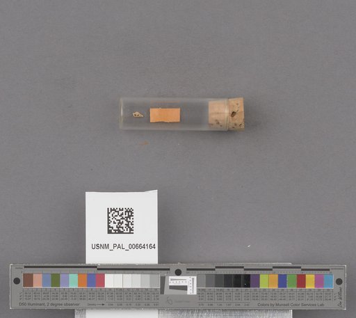 NSF ADBC EPICC TCN