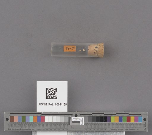 NSF ADBC EPICC TCN