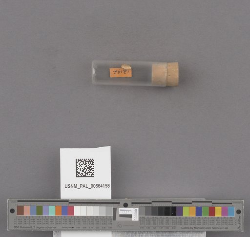NSF ADBC EPICC TCN