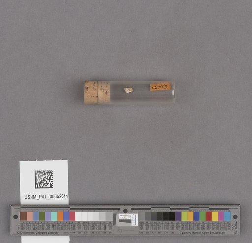 NSF ADBC EPICC TCN