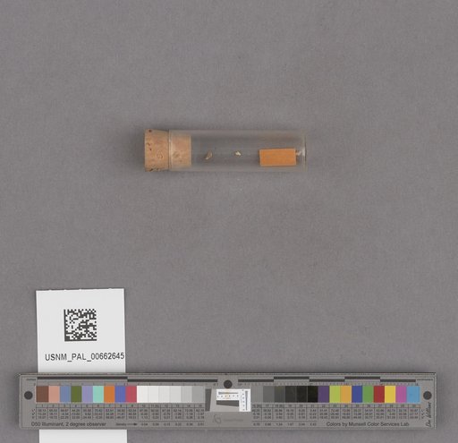 NSF ADBC EPICC TCN