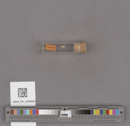 NSF ADBC EPICC TCN