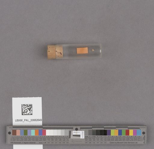 NSF ADBC EPICC TCN
