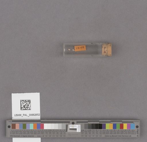 NSF ADBC EPICC TCN