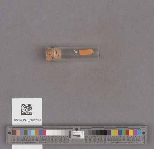 NSF ADBC EPICC TCN