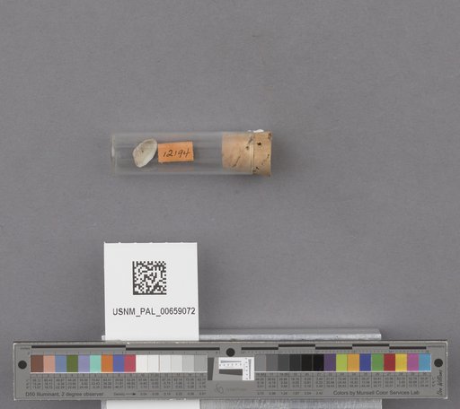 NSF ADBC EPICC TCN