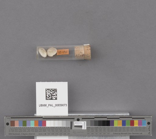 NSF ADBC EPICC TCN