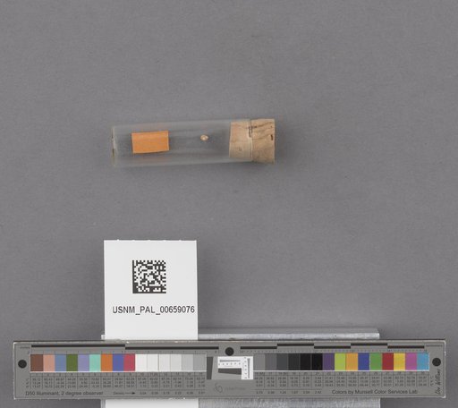 NSF ADBC EPICC TCN