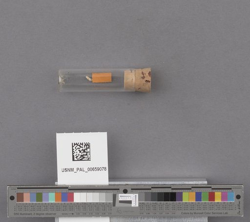 NSF ADBC EPICC TCN