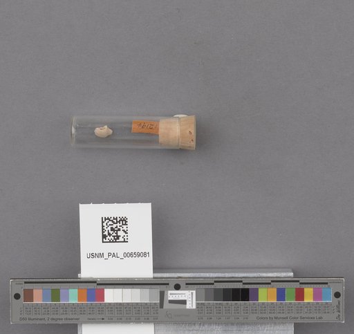NSF ADBC EPICC TCN