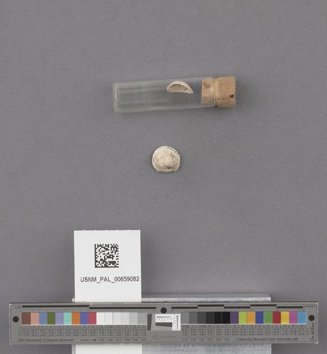 NSF ADBC EPICC TCN