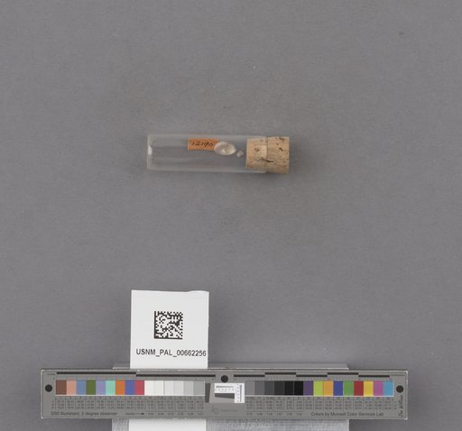 NSF ADBC EPICC TCN
