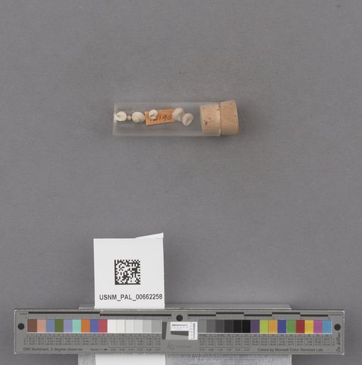 NSF ADBC EPICC TCN