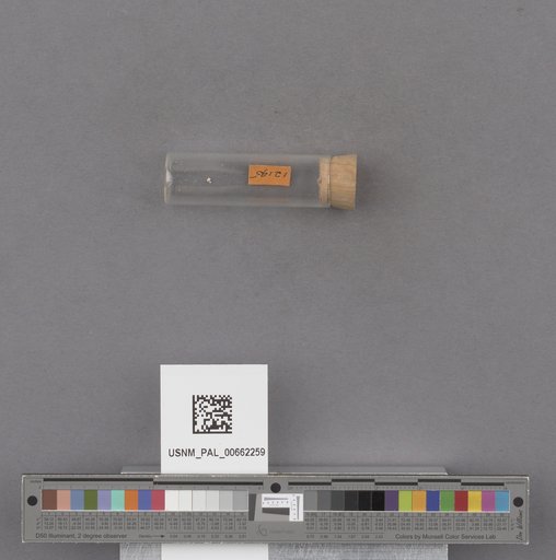 NSF ADBC EPICC TCN