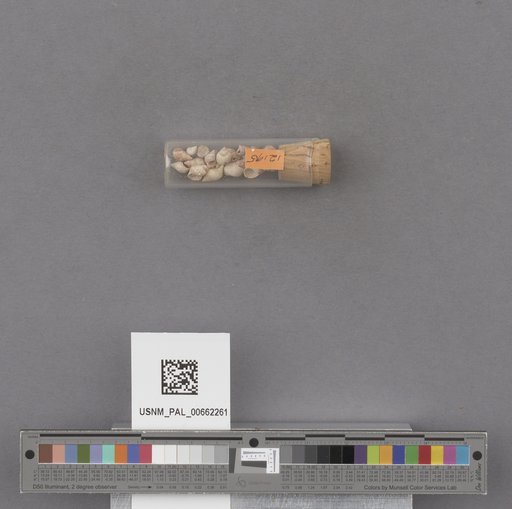 NSF ADBC EPICC TCN