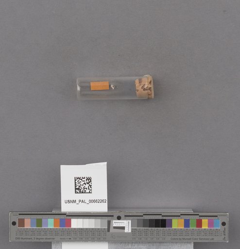 NSF ADBC EPICC TCN
