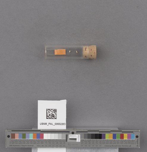 NSF ADBC EPICC TCN