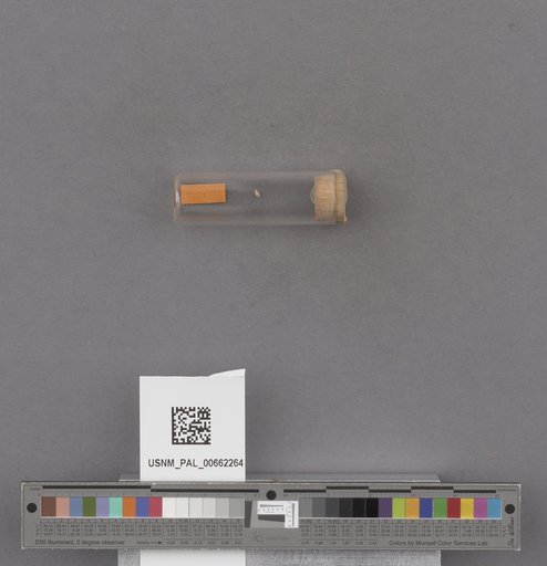 NSF ADBC EPICC TCN