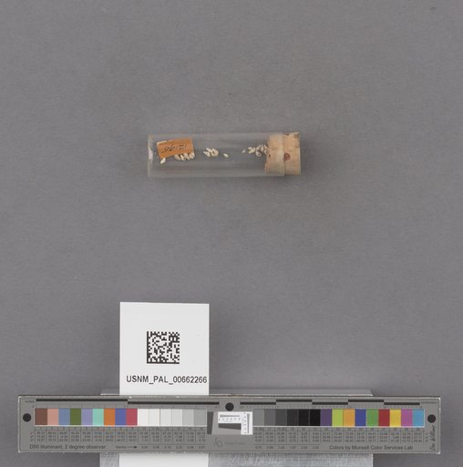 NSF ADBC EPICC TCN