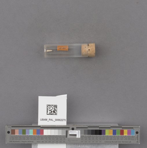 NSF ADBC EPICC TCN