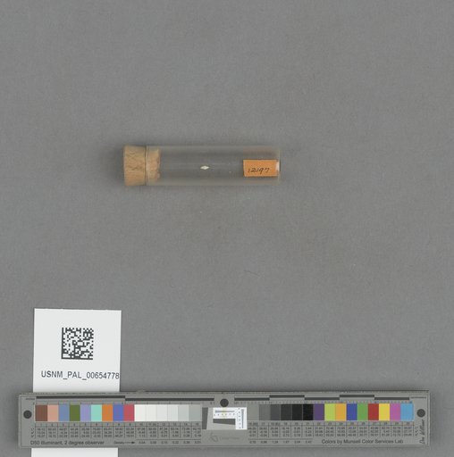 NSF ADBC EPICC TCN