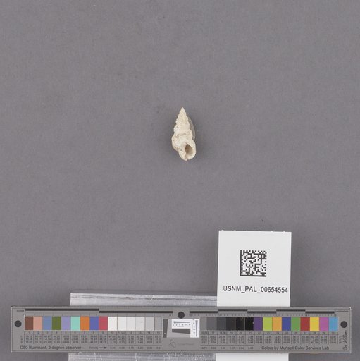 NSF ADBC EPICC TCN