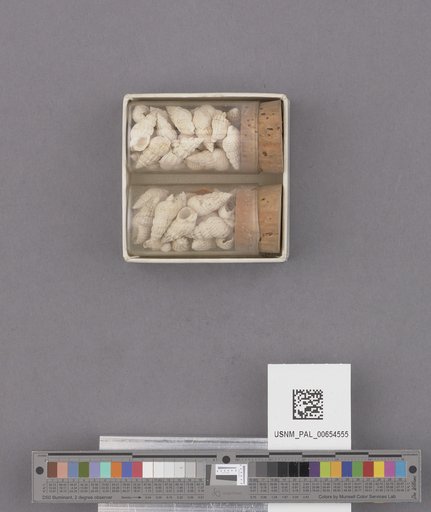 NSF ADBC EPICC TCN