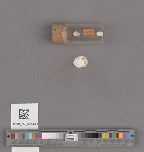 NSF ADBC EPICC TCN