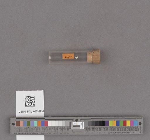 NSF ADBC EPICC TCN