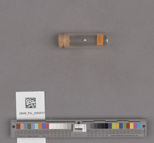 NSF ADBC EPICC TCN